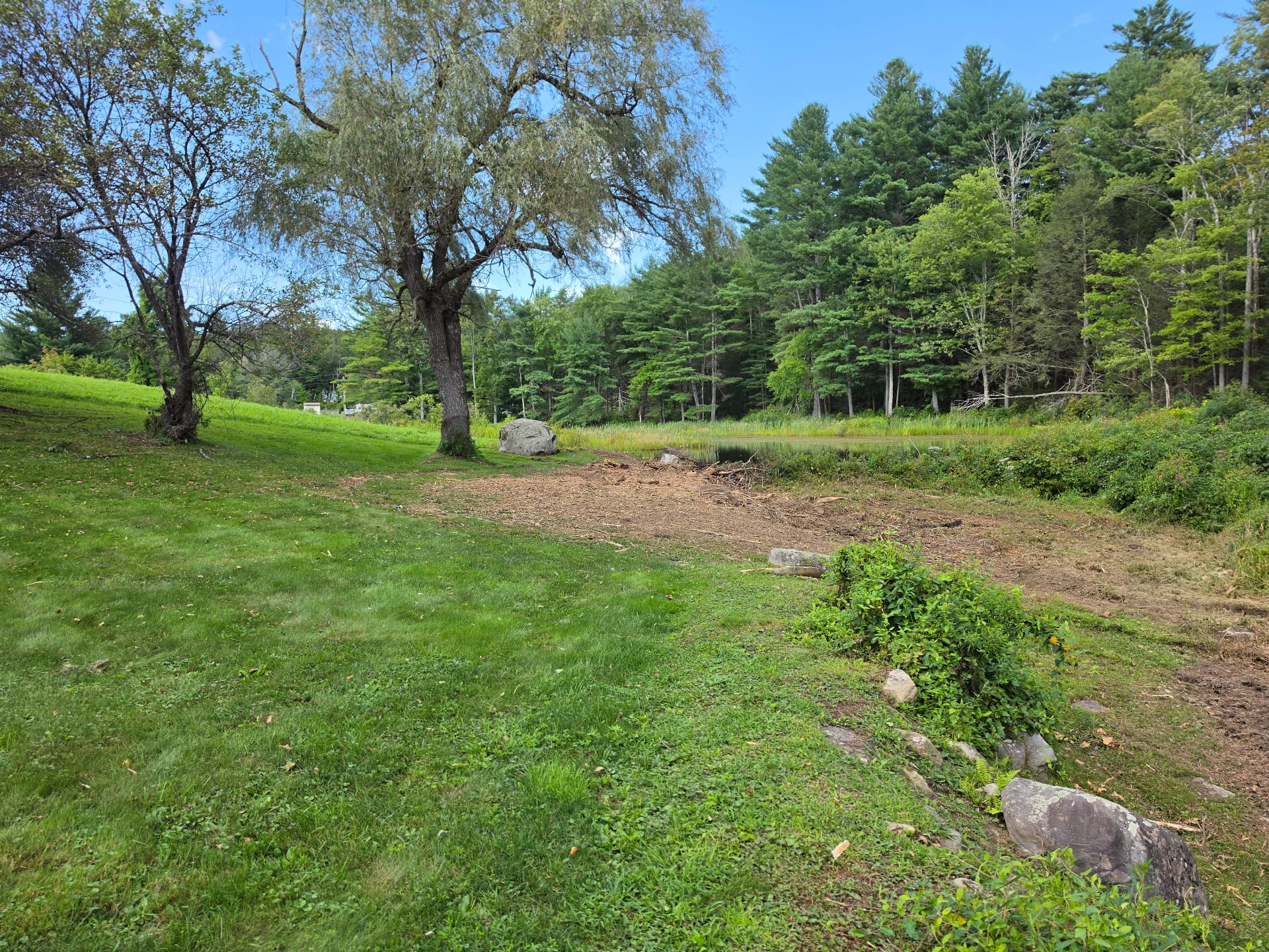 Reclaimed residential property area after selective forestry mulching in Huntington, Massachusetts