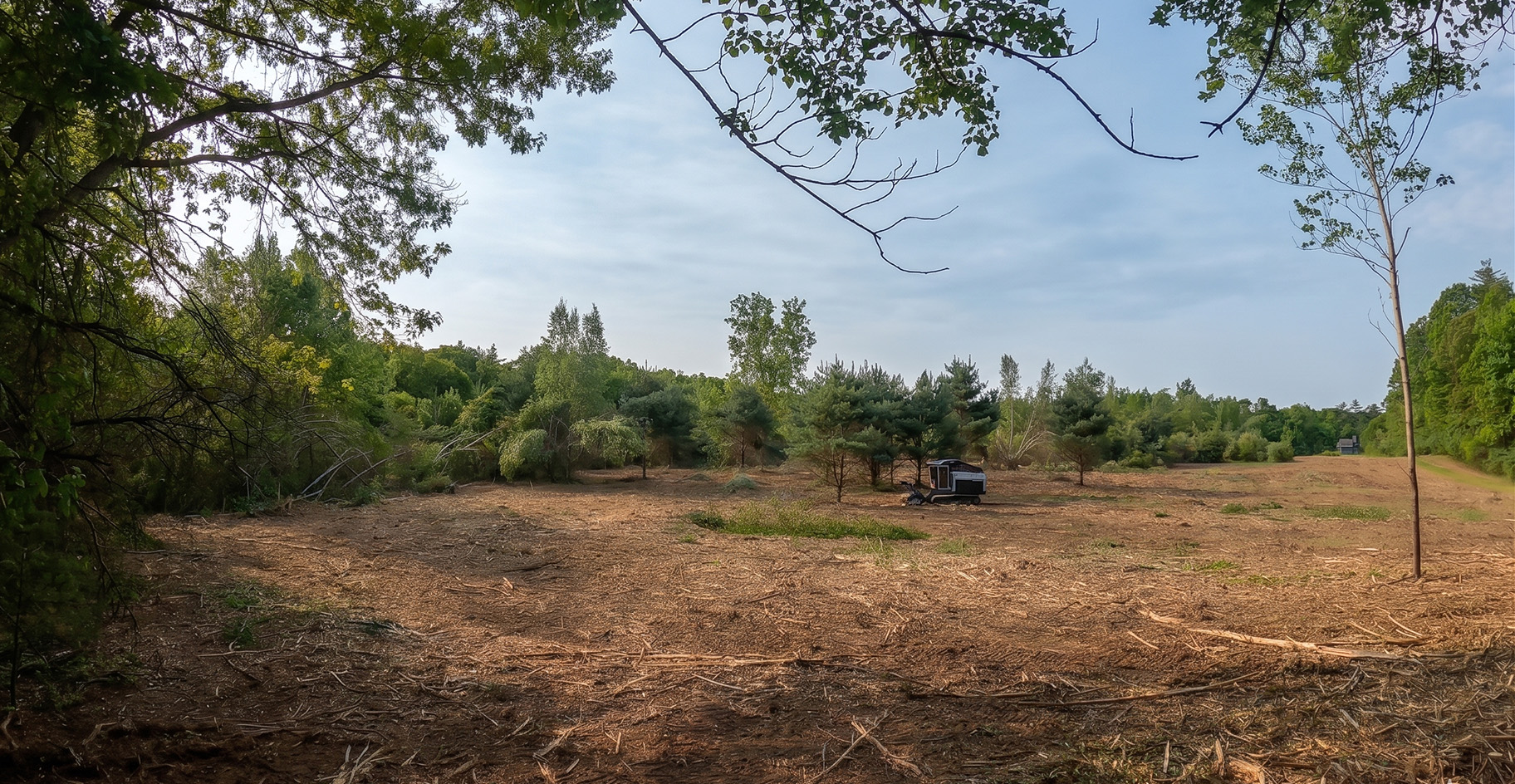 Cleared field after forestry mulching by Blue Diamond Civil Group in Western Massachusetts