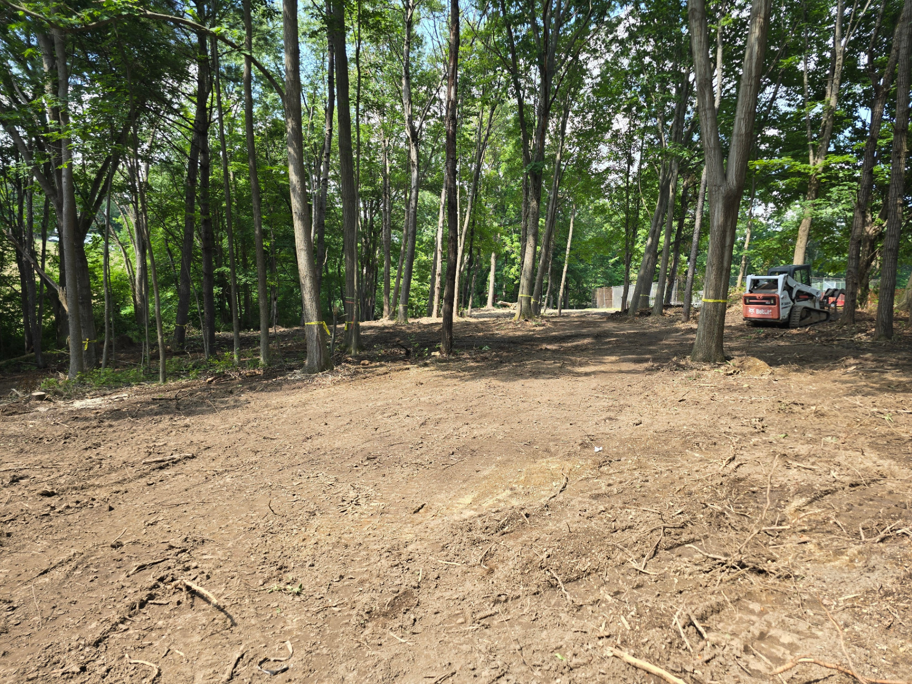 Reclaim Your Woods. Preserve Your Canopy.